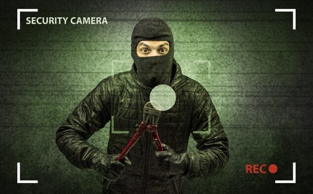 Crimes So Dumb They're Not Worth Columbo's Time