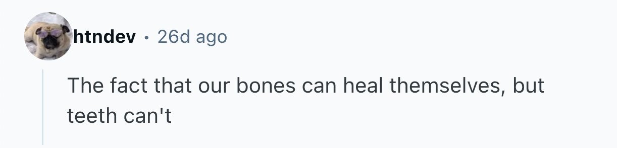 htndev . 26d ago The fact that our bones can heal themselves, but teeth can't 