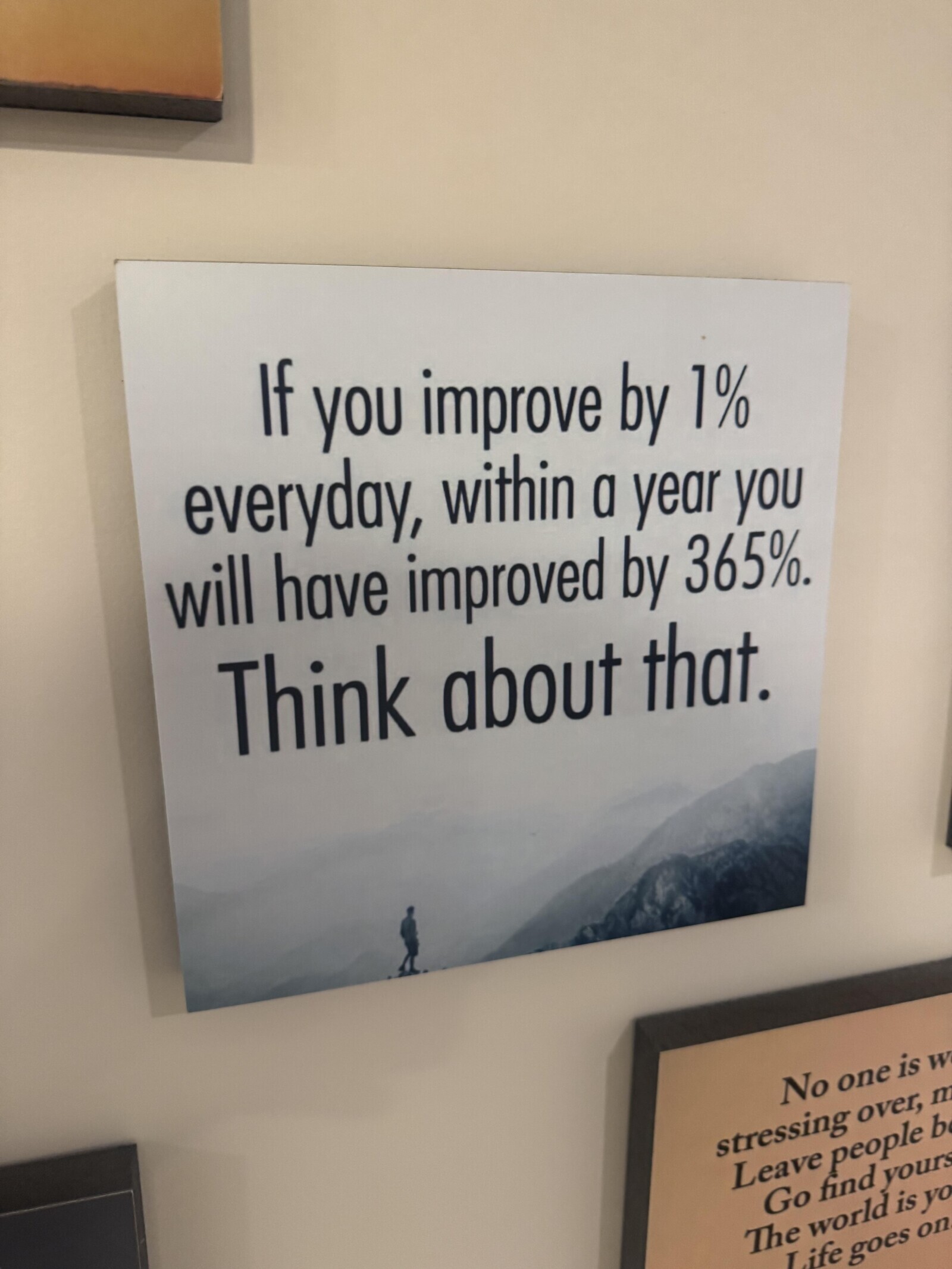 If you improve by 1% everyday, within a year you will have improved by 365%. Think about that. No one is W stressing over, much Leave people b Go find yours The world is yo Life goes on