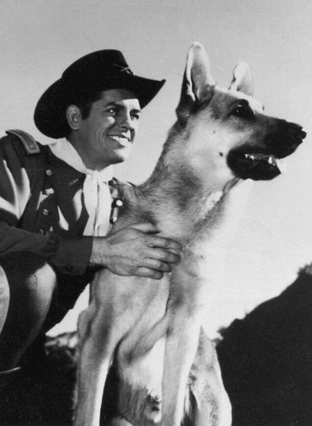 12 Animals That Will Forever Be More Successful Than Your Actor Friend