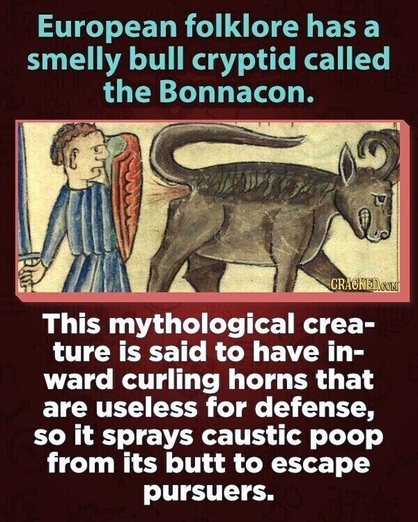European folklore has a smelly bull cryptid called the Bonnacon. CRACKED.COM This mythological crea- ture is said to have in- ward curling horns that are useless for defense, so it sprays caustic poop from its butt to escape pursuers.
