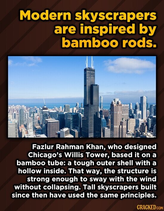 Modern scrapers are inspired by bamboo rods. Fazlur Rahman Khan, who designed Chicago's Willis Tower, based it on a bamboo tube: a tough outer shell with a hollow inside. That way, the structure is strong enough to sway with the wind without collapsing. Tall skyscrapers built since then have used
