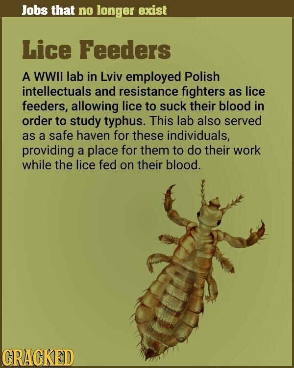 Jobs that no longer exist Lice Feeders A WWII lab in Lviv employed Polish intellectuals and resistance fighters as lice feeders, allowing lice to suck their blood in order to study typhus. This lab also served as a safe haven for these individuals, providing a place for them to do their work while the lice fed on their blood. CRACKED
