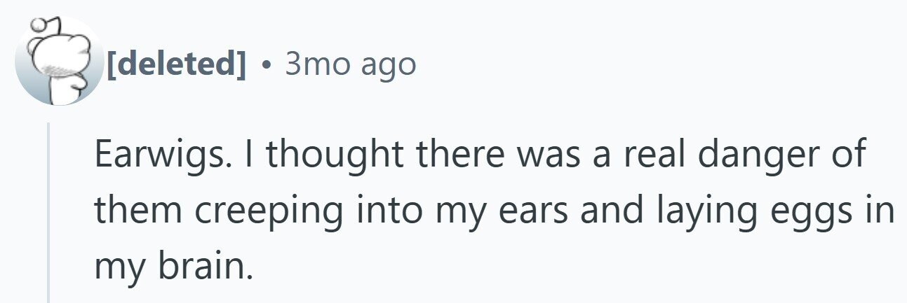 . 3то ago Earwigs. I thought there was a real danger of them creeping into my ears and laying eggs in my brain.