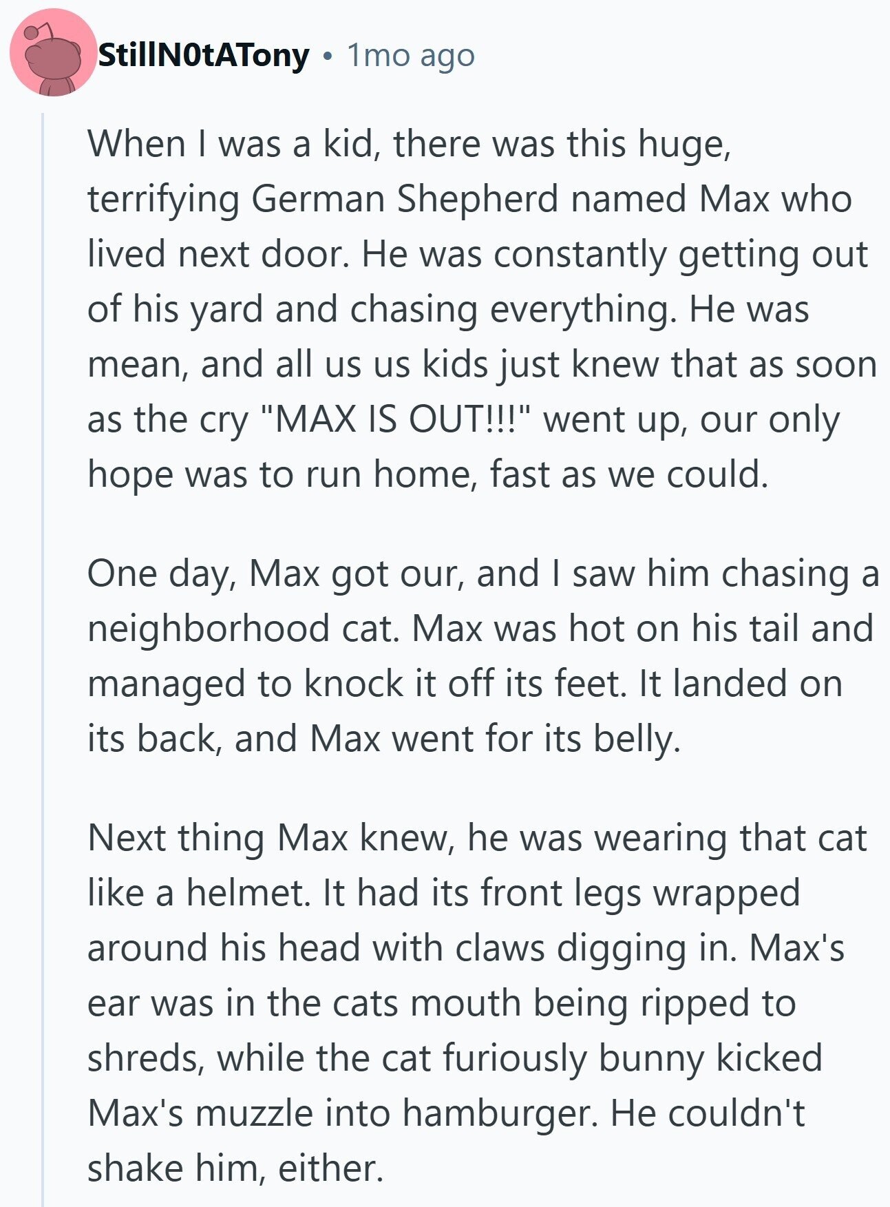 StillN0tATony 1mo ago When I was a kid, there was this huge, terrifying German Shepherd named Max who lived next door. Не was constantly getting out of his yard and chasing everything. Не was mean, and all us us kids just knew that as soon as the cry MAX IS OUT!!! went up, our only hope was to run home, fast as we could. One day, Max got our, and I saw him chasing a neighborhood cat. Max was hot on his tail and managed to knock it off its feet. It landed on its back, and Max went for