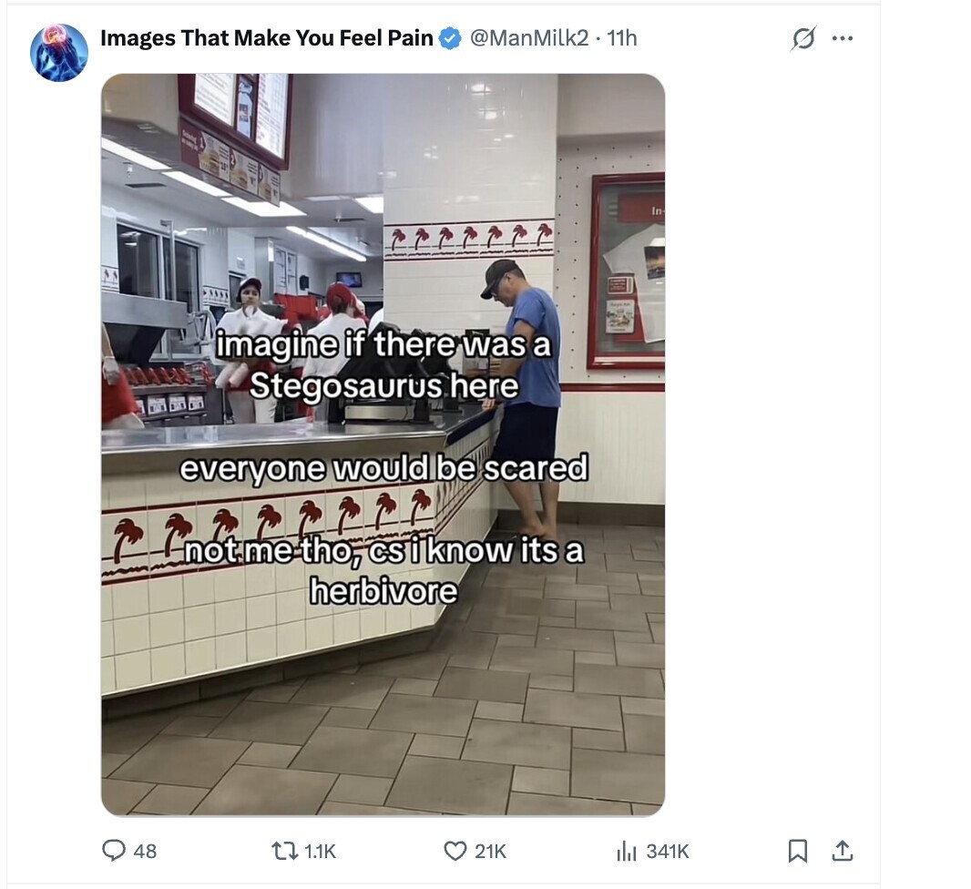 @ManMilk2 . 11h s ... Images That Make You Feel Pain Sylado In imagine if there was a Stegosaurus here everyone would be scared not.me tho, csiknow its a herbivore 48 1.1K 21K 341K