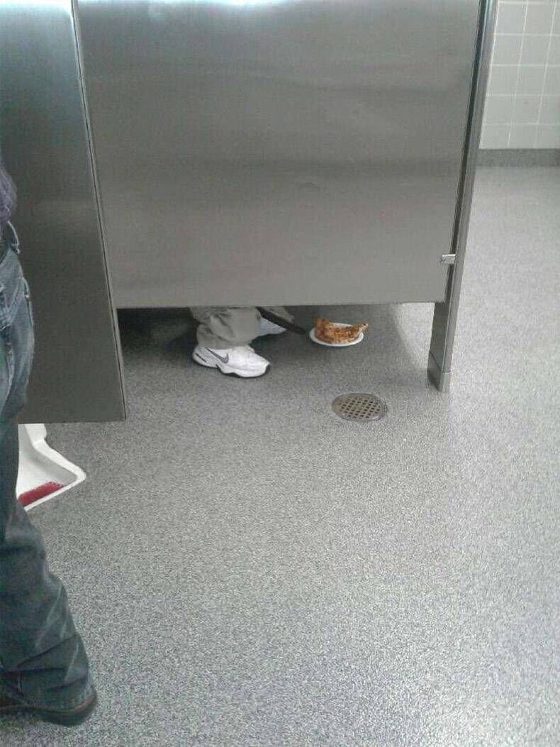 Photos Where Common Sense Has Left the Chat