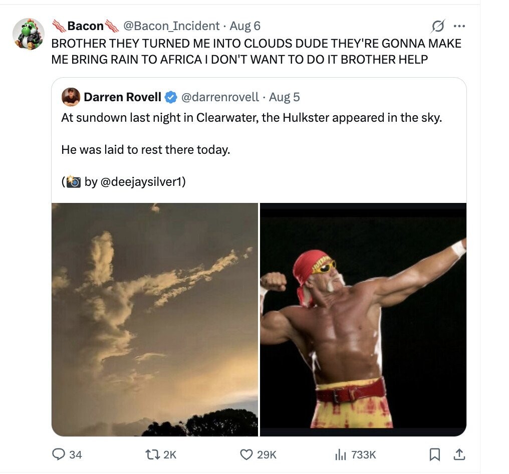 Bacon G ... @Bacon_Incident Aug 6 BROTHER THEY TURNED ME INTO CLOUDS DUDE THEY'RE GONNA MAKE ME BRING RAIN TO AFRICA DON'T WANT TO DO IT BROTHER HELP Darren Rovell @darrenrovell. Aug 5 At sundown last night in Clearwater, the Hulkster appeared in the sky. Не was laid to rest there today. by @deejaysilver1) 34 2K 29K 733K