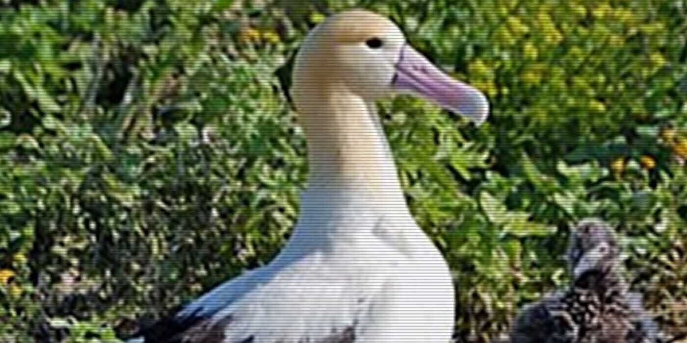 12 Fresh Trivia Tidbits for Thursday, August 29, 2024