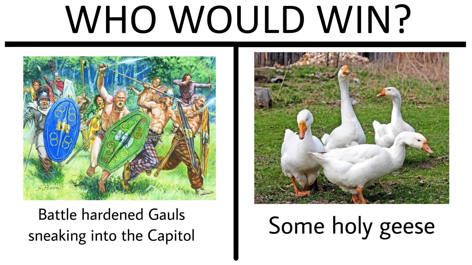 Looks At History From Today, Not History Class