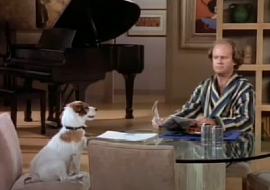 12 Animals That Will Forever Be More Successful Than Your Actor Friend