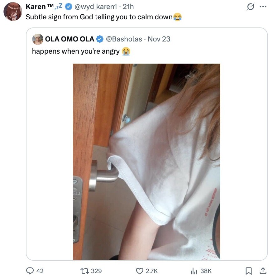 Karen TM zzZ @wyd_karen1 21h G ... Subtle sign from God telling you to calm down OLA OMO OLA @Basholas Nov 23 happens when you're angry o byb HORSE JOTE 42 329 2.7K 38K 