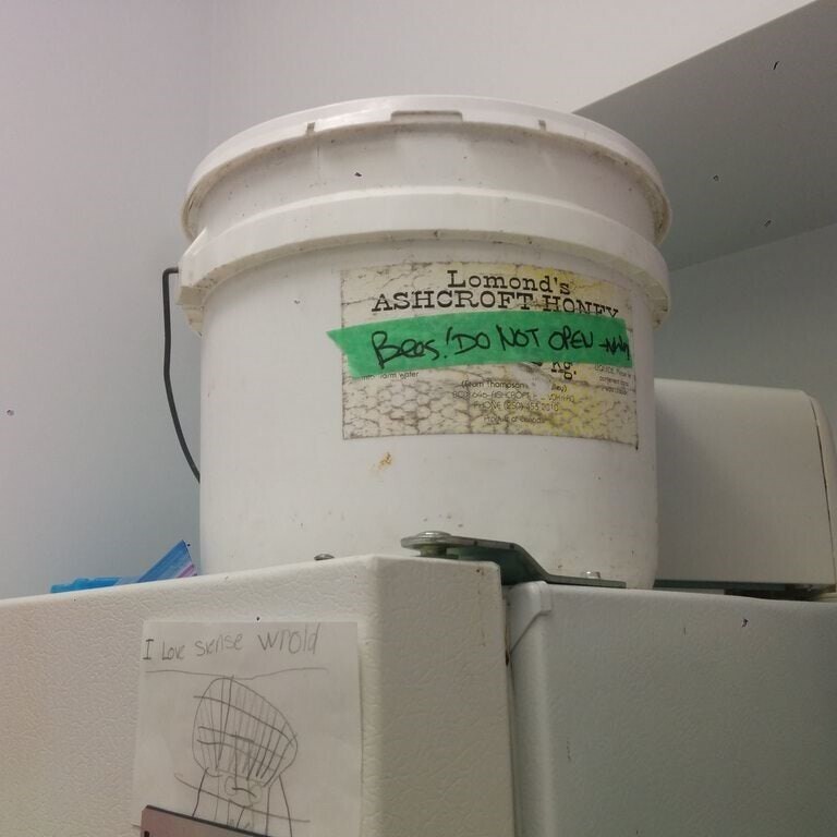 More OSHA Violations Right Out In The Open