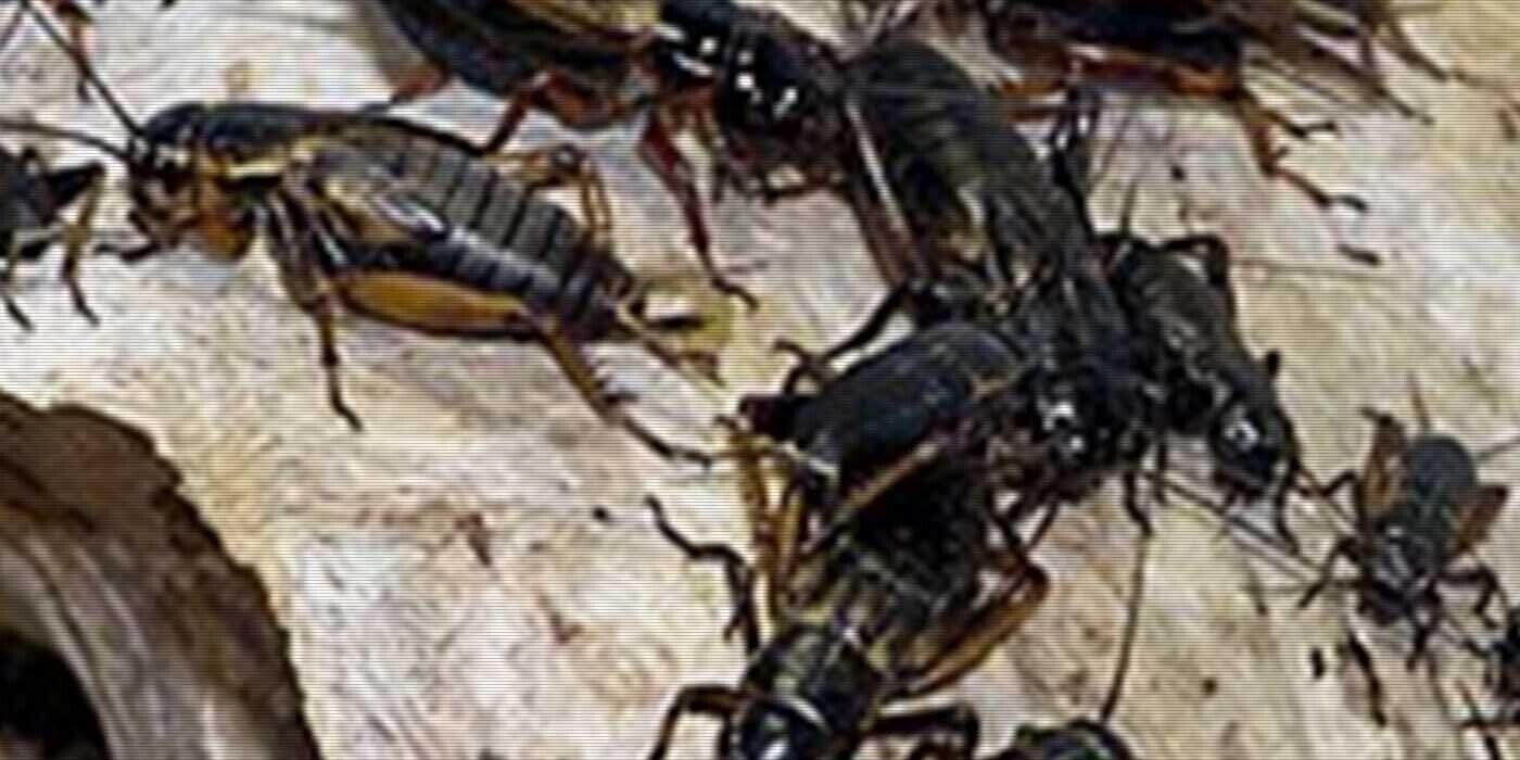 12 Fresh Trivia Tidbits for Thursday, August 29, 2024