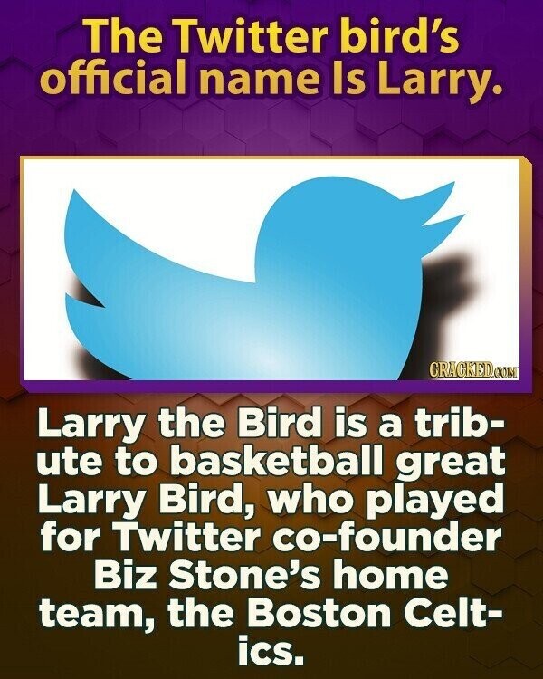 The Twitter bird's official name Is Larry. GRAGKED.COM Larry the Bird is a trib- ute to basketball great Larry Bird, who played for Twitter co-founder Biz Stone's home team, the Boston Celt- ics.