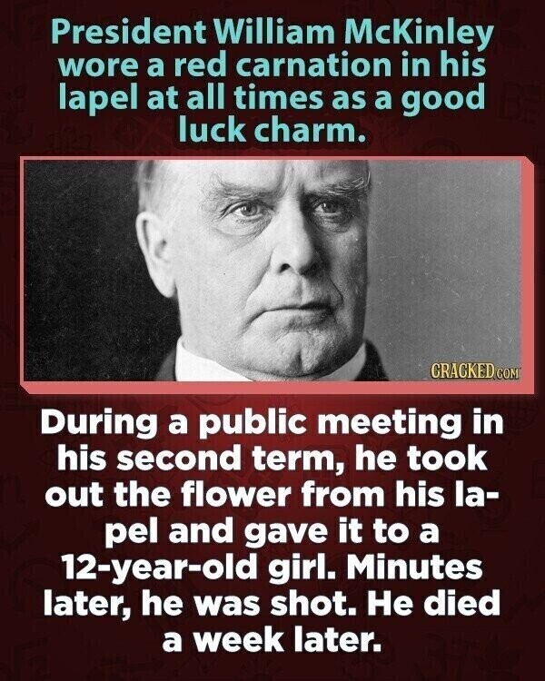 President William McKinley wore a red carnation in his lapel at all times as a good luck charm. CRACKED.COM During a public meeting in his second term, he took out the flower from his la- pel and gave it to a 12-year-old girl. Minutes later, he was shot. Не died a week later.