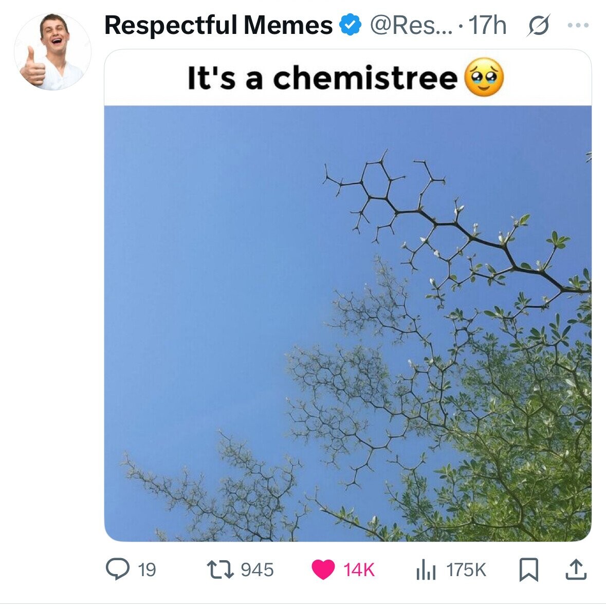 Respectful Memes @Res... . 17h s ... It's a chemistree 19 945 14K 175K 