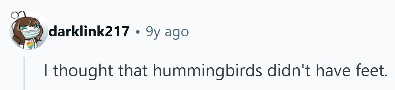 darklink217 . 9y ago I thought that hummingbirds didn't have feet. 