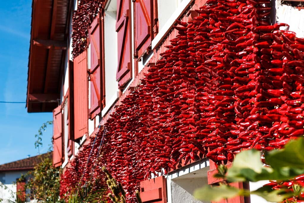 20 World Wide Festivals That Don't Make Sense to Us