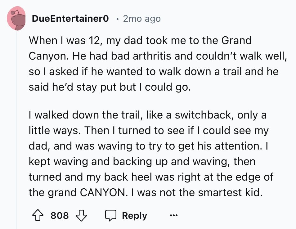 DueEntertainer0 2mo ago When I was 12, my dad took me to the Grand Canyon. Не had bad arthritis and couldn't walk well, so I asked if he wanted to walk down a trail and he said he'd stay put but I could go. I walked down the trail, like a switchback, only a little ways. Then I turned to see if I could see my dad, and was waving to try to get his attention. I kept waving and backing up and waving, then turned and my back heel was right at the edge of the grand CANYON. I