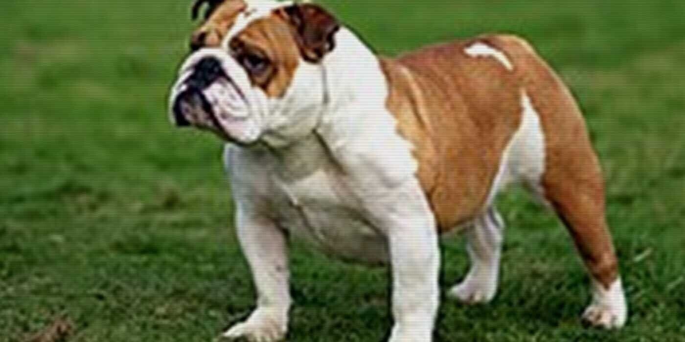 12 Fresh Trivia Tidbits for Thursday, August 29, 2024