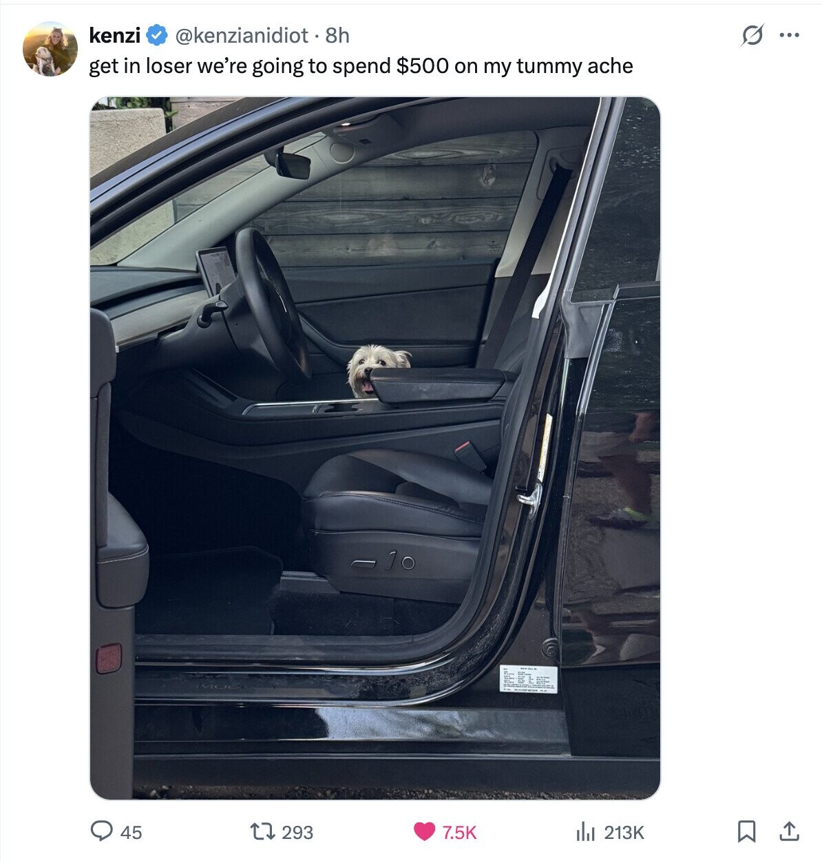 kenzi @kenzianidiot . 8h O ... get in loser we're going to spend $500 on my tummy ache 45 293 7.5K dal 213K