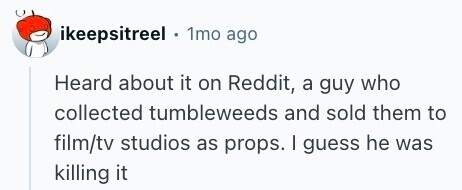 ikeepsitreel . 1mo ago Heard about it on Reddit, a guy who collected tumbleweeds and sold them to film/tv studios as props. I guess he was killing it 