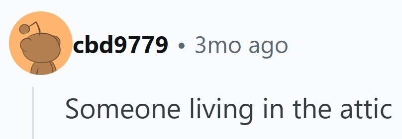 cbd9779 . 3 3то ago Someone living in the attic