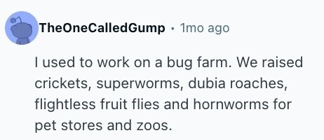 TheOneCalledGump 1mo ago I used to work on a bug farm. We raised crickets, superworms, dubia roaches, flightless fruit flies and hornworms for pet stores and zoos. 