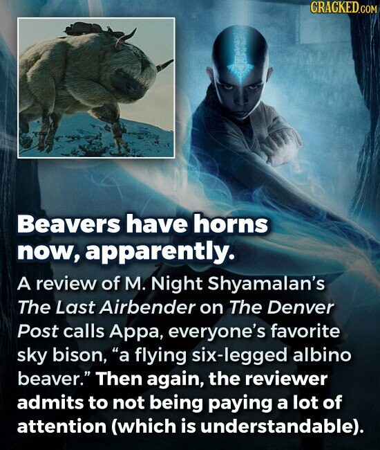 Beavers have horns now, apparently. A review of M. Night Shyamalan's The Last Airbender on The Denver Post calls Appa, everyone's favorite sky bison, a flying six-legged albino beaver. Then again, the reviewer admits to not being paying a lot of attention (which is sunderstandable).