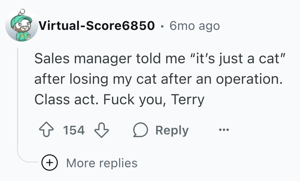 Virtual-Score6850 6mo ago Sales manager told me it's just a cat after losing my cat after an operation. Class act. Fuck you, Terry 154 Reply ... + More replies