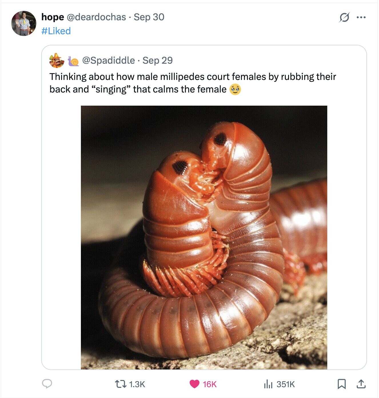 hope @deardochas Sep 30 S ... #Liked @Spadiddle.Sep 29 Thinking about how male millipedes court females by rubbing their back and singing that calms the female 1.3K 16K 351K 