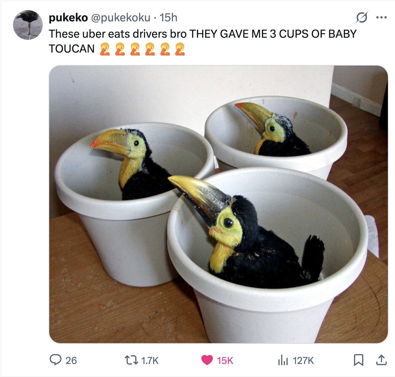 S ... pukeko @pukekoku 15h These uber eats drivers bro THEY GAVE ME 3 CUPS OF BABY TOUCAN 26 1.7K 15K 127K 