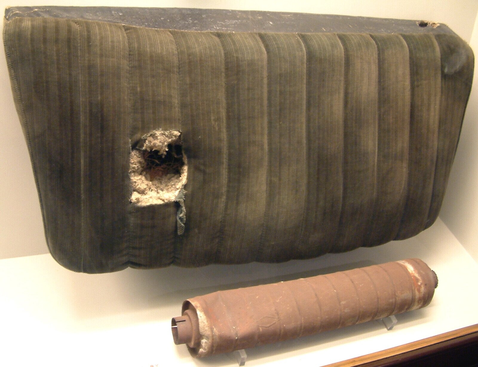 People Who Cheated Death By Meteorite