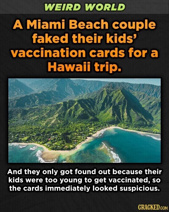 WEIRD WORLD A Miami Beach couple faked their kids' vaccination cards for a Hawaii trip. And they only got found out because their kids were too young to get vaccinated, so the cards immediately looked suspicious. CRACKED.COM