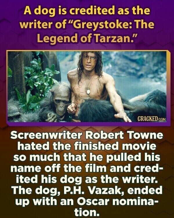 A dog is credited as the writer of Greystoke: The Legend of Tarzan. CRACKED.COM Screenwriter Robert Towne hated the finished movie so much that he pulled his name off the film and cred- ited his dog as the writer. The dog, Р.Н. Vazak, ended up with an Oscar nomina- tion.