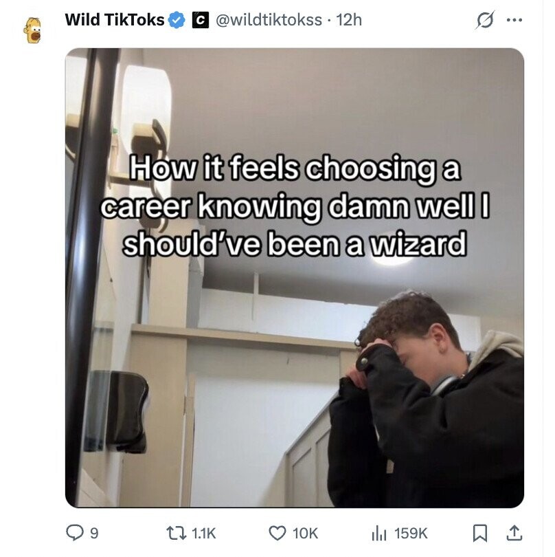 Wild TikToks с @wildtiktokss . 12h s ... How it feels choosing a career knowing damn well I should've been a wizard 9 1.1K 10K 159K