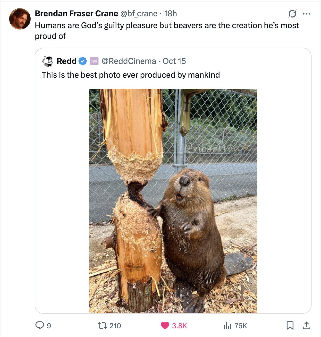 Brendan Fraser Crane @bf_crane. 18h ... Humans are God's guilty pleasure but beavers are the creation he's most proud of Redd IRIS @ReddCinema Oct 15 This is the best photo ever produced by mankind 9 210 3.8K 76K 