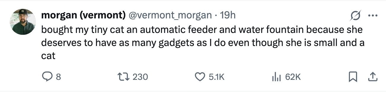 NO morgan (vermont) @vermont_morgan 19h ... bought my tiny cat an automatic feeder and water fountain because she deserves to have as many gadgets as I do even though she is small and a cat 8 230 5.1K 62K