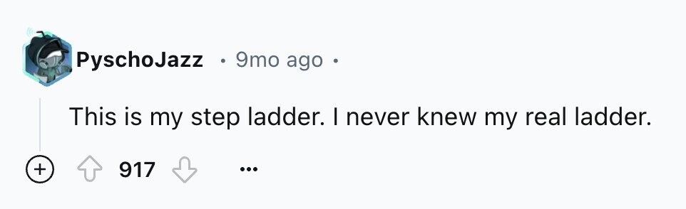 PyschoJazz 9mo ago This is my step ladder. I never knew my real ladder. + 917 ...