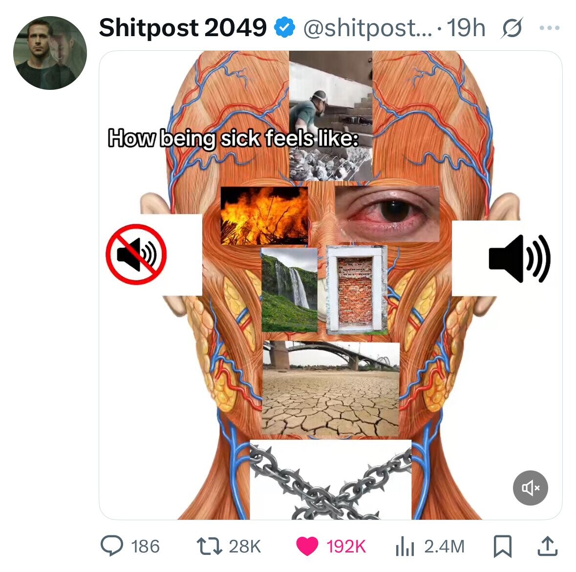 @shitpost.... 19h s ... Shitpost 2049 How being sick feels like: 186 28K 192K del 2.4M 