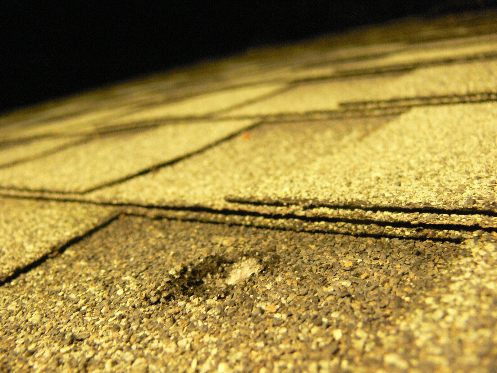 People Who Cheated Death By Meteorite