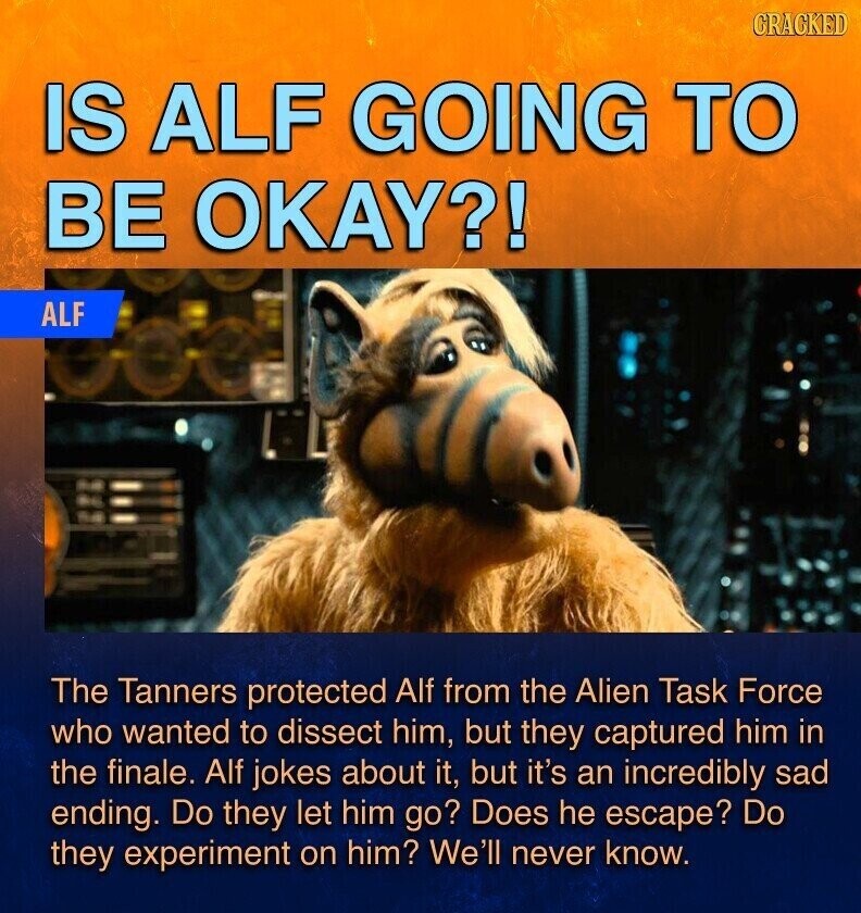 GRAGKED IS ALF GOING TO BE OKAY?! ALF The Tanners protected Alf from the Alien Task Force who wanted to dissect him, but they captured him in the finale. Alf jokes about it, but it's an incredibly sad ending. Do they let him go? Does he escape? Do they experiment on him? We'll never know.