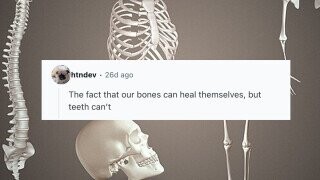 21 Facts About the Human Body That Will Make You Wonder How We’re Not All Dead