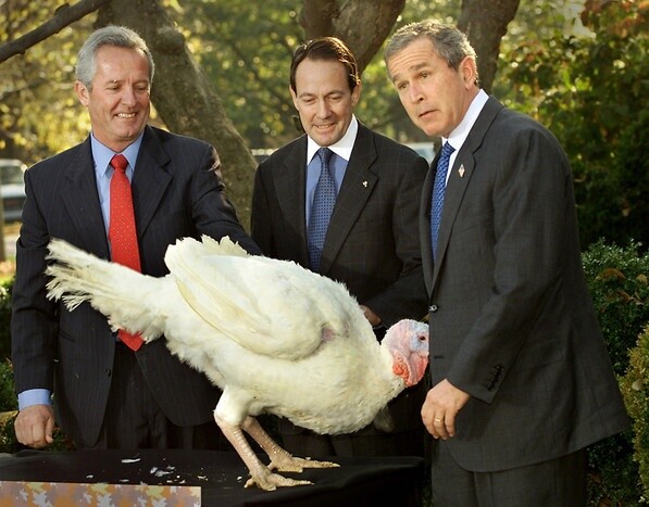 White House Turkeys Spying on Government Activity