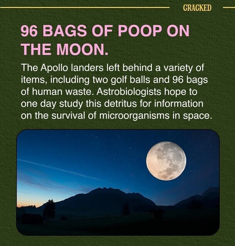 CRACKED 96 BAGS OF POOP ON THE MOON. The Apollo landers left behind a variety of items, including two golf balls and 96 bags of human waste. Astrobiologists hope to one day study this detritus for information on the survival of microorganisms in space.