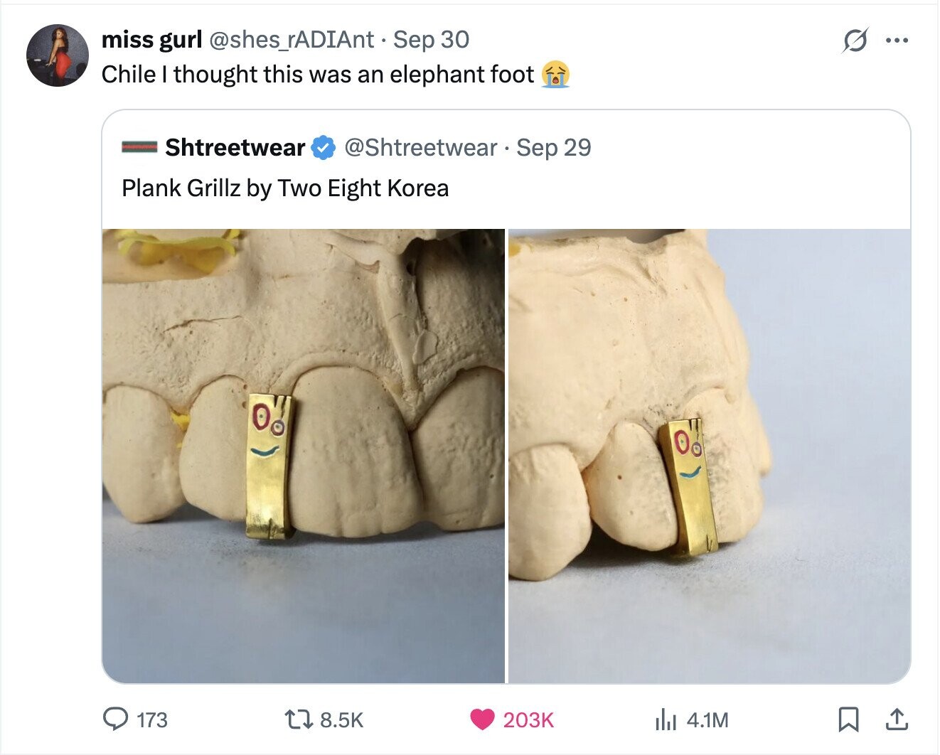 s ... miss gurl @shes_rADIAnt - Sep 30 Chile I thought this was an elephant foot Shtreetwear @Shtreetwear Sep 29 Plank Grillz by Two Eight Korea 173 8.5K 203K del 4.1M 