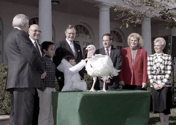 White House Turkeys Spying on Government Activity