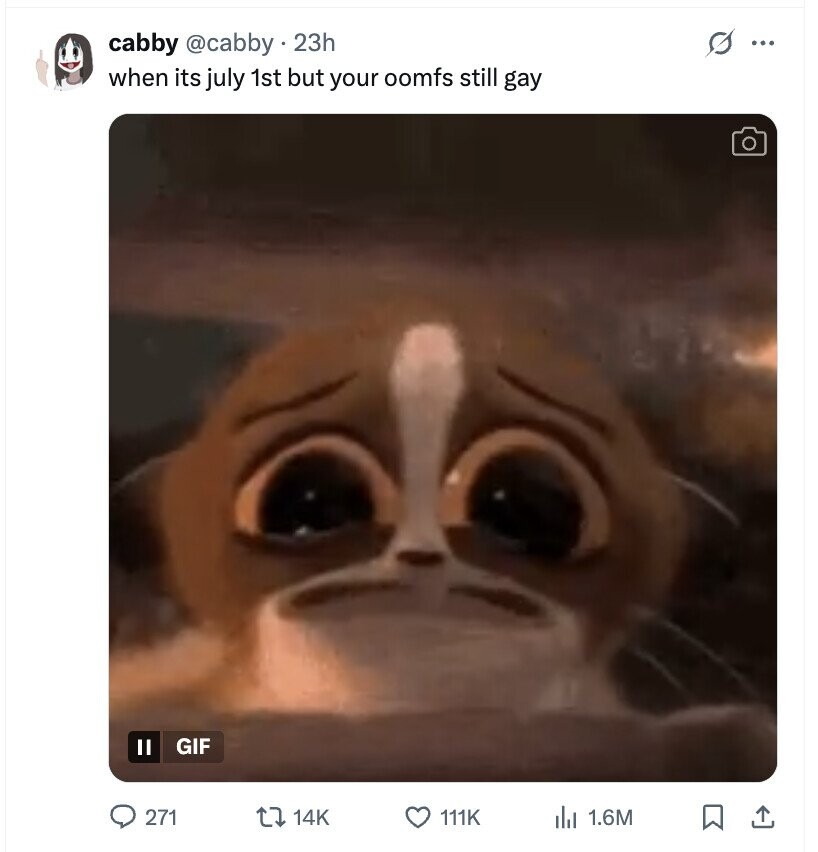 s cabby @cabby 23h ... when its july 1st but your oomfs still gay II GIF 271 14K 111K du 1.6M