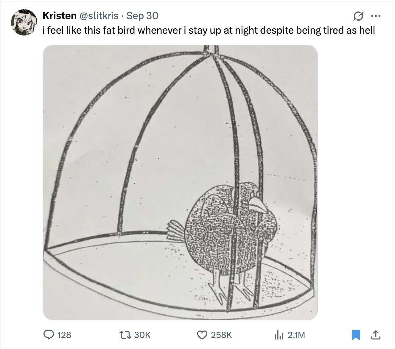 Kristen @slitkris Sep 30 G ... i feel like this fat bird whenever i stay up at night despite being tired as hell 128 30K 258K del 2.1M 